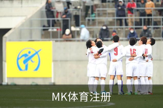 MK体育注册 公司简介